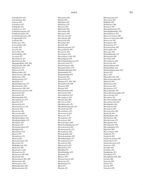 Pdf The Revised Classification Of Eukaryotes Dokumentips