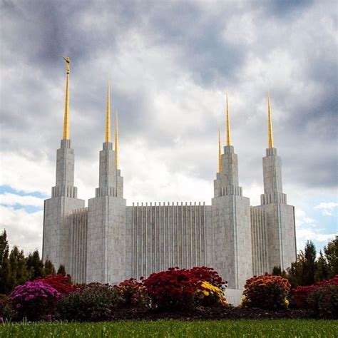 Mormon Temple Washington Dc Hd Phone Wallpaper Pxfuel