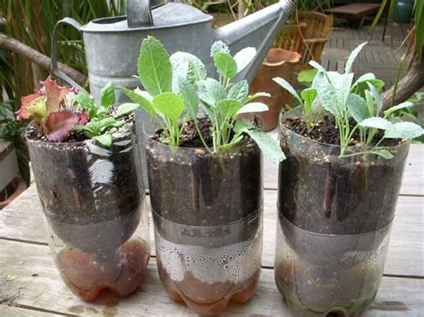 16 Recycled Bottle Planters DIY To Make