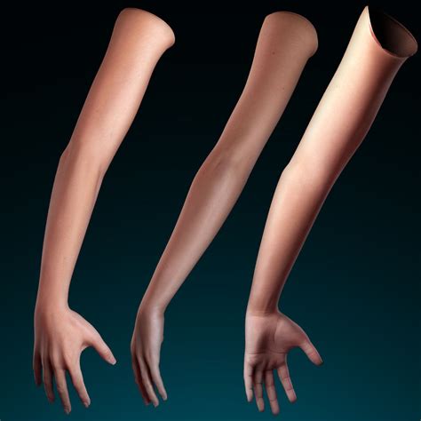 Female Arm 3d Model 49 Max Free3d