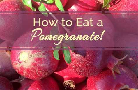 Pomegranate seeds are the seeds found in the pomegranate fruit, which comes from the punica between 250 and 1400 pomegranate seeds inside, each encased in an aril and a single edible seed. How to Eat a Pomegranate! - Living Awareness Institute