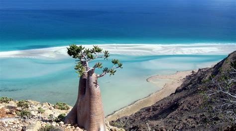 Socotra Island An Adventurous Vacation