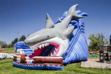 Shark Slide Air Bounce Inflatables And Party Rentals In Hamilton