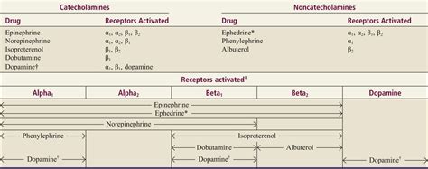 Adrenergic Receptors Mnemonic