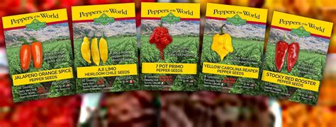 Hot Pepper Seeds Hatch Chile Seeds Sandia Seed Company Stuffed