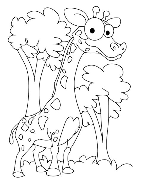 Giraffe Coloring Coloring Pages