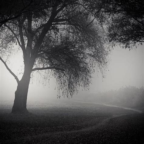Such A Quick Walk 1 Photography By Zoltan Bekefy Black And White