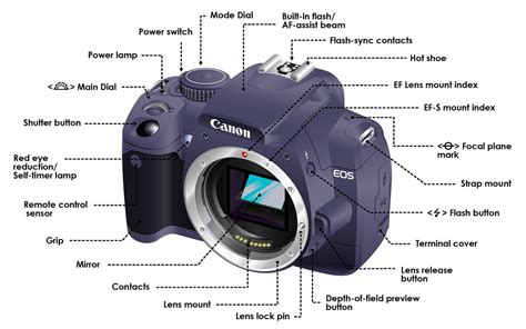 DSLR Camera Functions Diagram This Diagram Infographic Sho Flickr