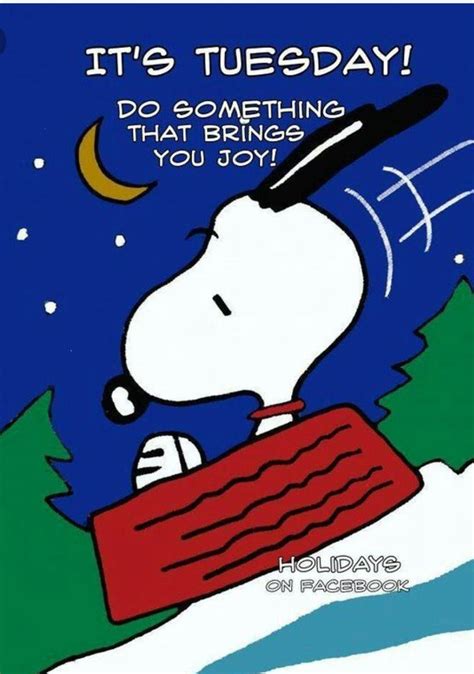 Pin By Merrilee Desatoff On Life Quotes Snoopy Snoopy Love Snoopy