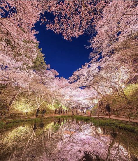 Scenery おしゃれまとめの人気アイデア｜pinterest｜linda Isham 美しい場所 風景 日本 の 風景