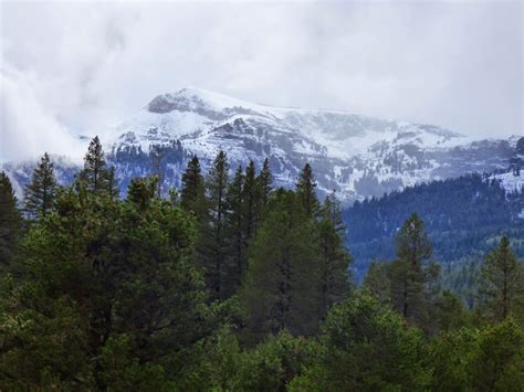 Geotripper Early Snow In The Sierra Nevada During A Field Trip Of