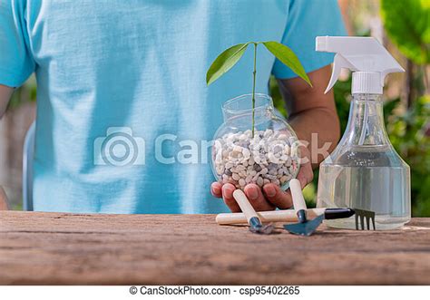 Conceptos Plantas Plantas Plantas Plantas Plantas Canstock
