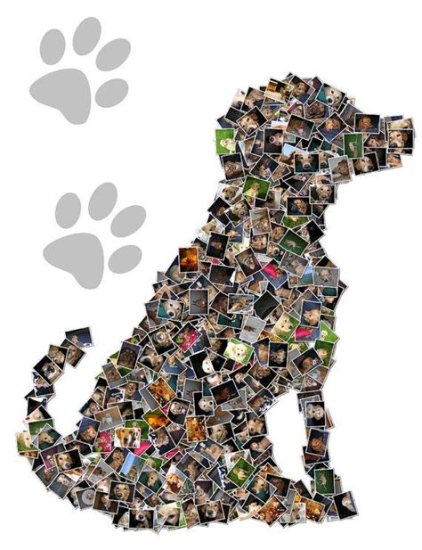 Dog Photo Collage Ideas Petswall