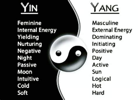 What Does Yang Mean In Astrology