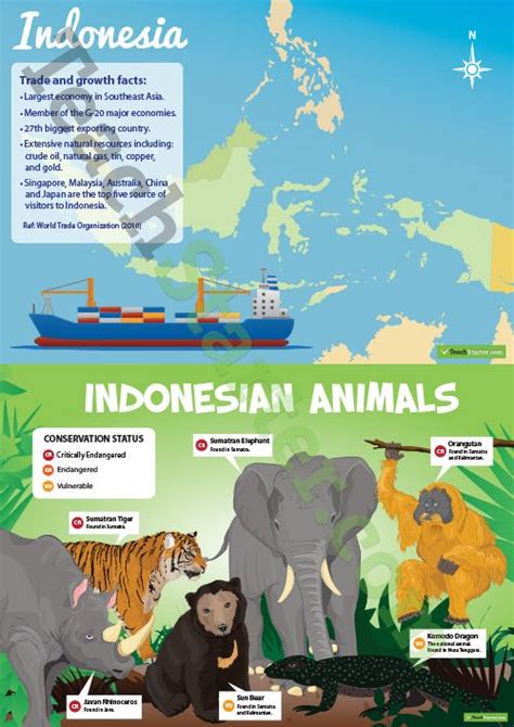 Indonesia Profile Poster Pack Teaching Resources Teach Starter