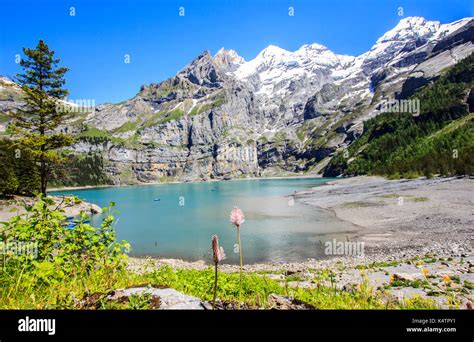 Beautiful Summer Day View Of Turquoise Oeschinensee Oeschinen Lake