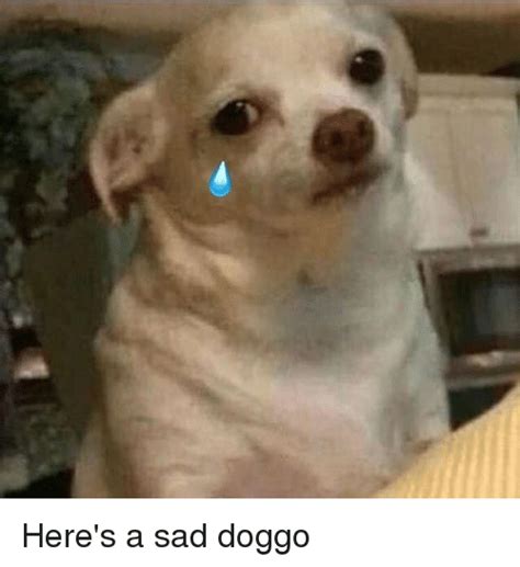 Heres A Sad Doggo Meme On Meme