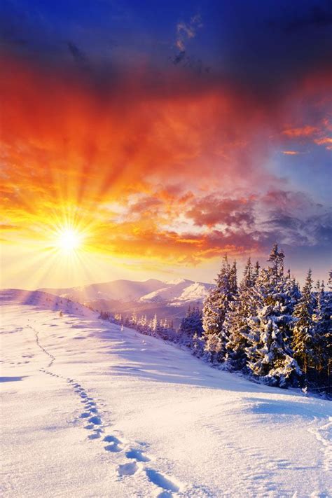 Free Download Beautiful Winter Sunset Wallpaper Iphone Wallpapers