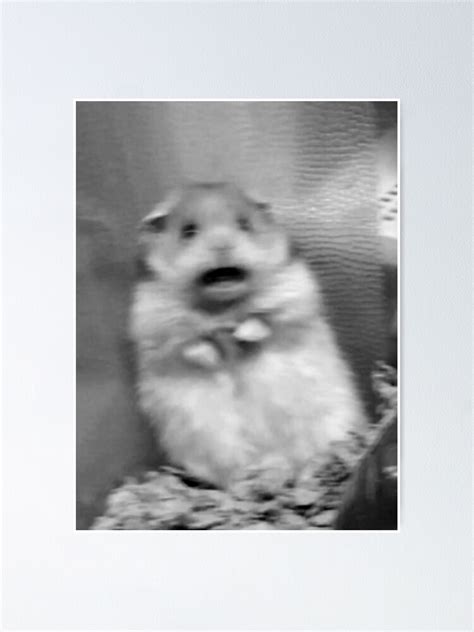 Scared Hamster Meme Poster By Waifupalace Redbubble