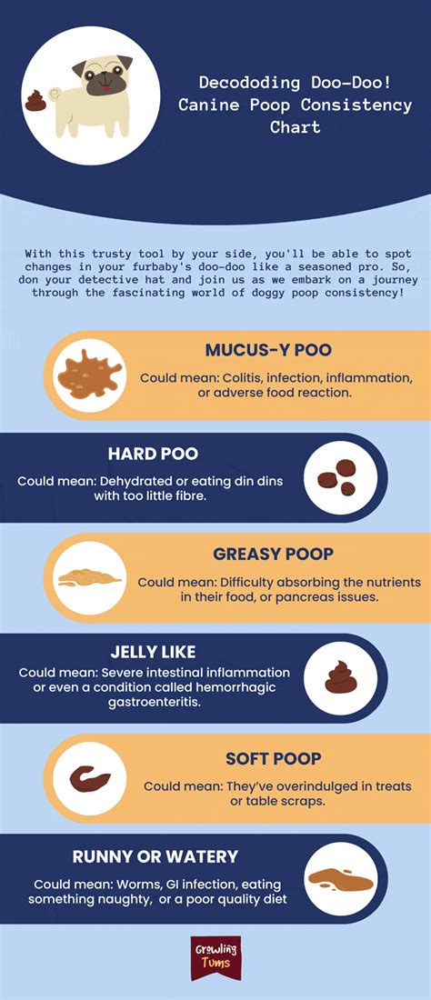 Dog Poop Chart