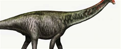 The Brontosaurus Is Officially A Dinosaur Again Sciencealert