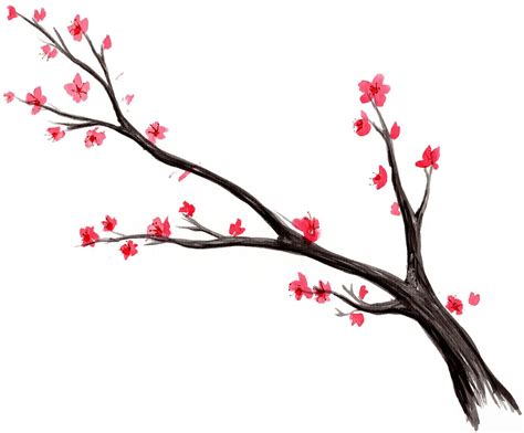 Japanese Cherry Blossom Silhouette At Getdrawings Free Download