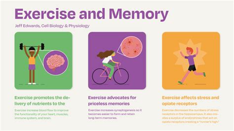 How Exercise Affects The Brain Byu Life Sciences