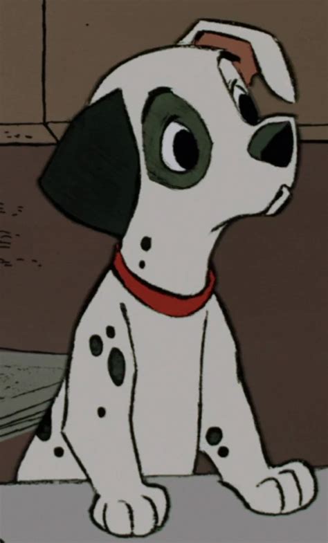 Patch Is The Most Prominent Of The Dalmatian Puppies Born To Pongo And