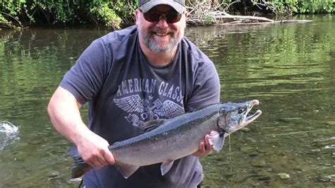 2018 Quilcene River Fishing Report The Lunkers Guide