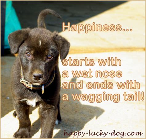 Happy Dog Quotes Quotesgram
