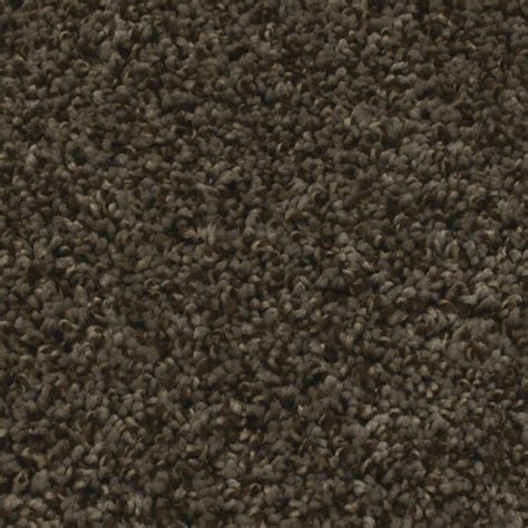 Stainmaster Essentials Nolin 12 Ft Textured Interior Carpet At