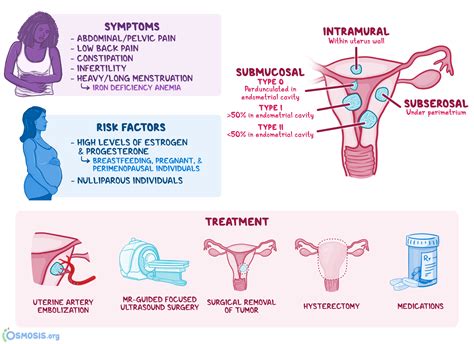 Uterine Fibroids Types