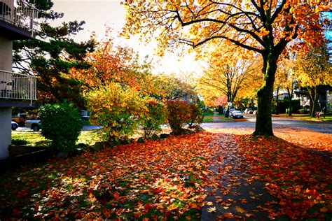 Vanier park is a municipal park located in the kitsilano neighbourhood of vancouver, british columbia, canada, created in 1967. Streets in Autumn in Vancouver BC Canada | Vancouver ...