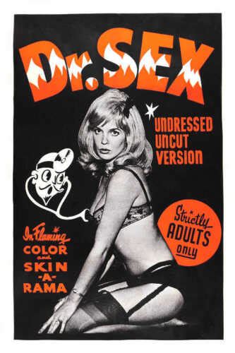 1964 Dr Sex Vintage Adult Film Movie Poster Print 36x24 9mil Paper Ebay