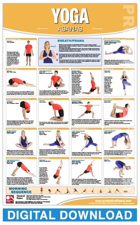 Anatomy Of Yoga Poses Pdf Kayaworkout Co Vrogue Co