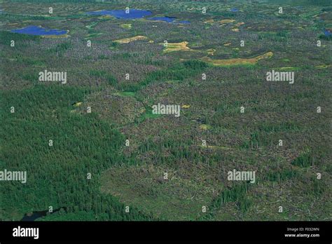 Aerial View Of The Surroundings Of Igarka Siberia Russia Stock Photo
