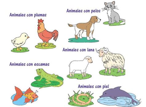 Clasificacion De Los Animales Segun Su Habitat Para Niños De Primaria