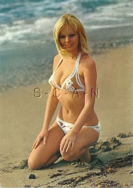 ORG VINTAGE 1960S 70S German Semi Nude Risque PC Blond Sheer Bikini