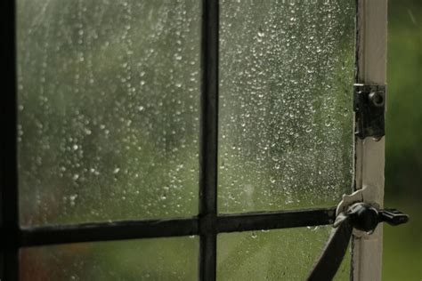 35 Rainy Day Window Pictures The Photo Argus