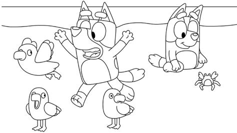 Https://wstravely.com/coloring Page/blue Heeler Coloring Pages