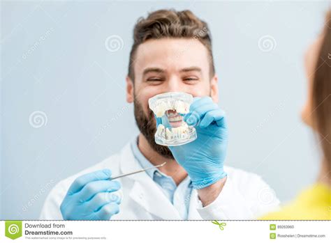 Dental Consultation With Jaw Model Stock Photo Image Of Teeth