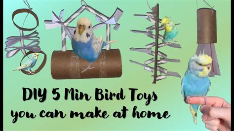How To Make Bird Toys Youtube