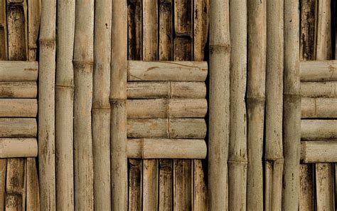 Bamboo Textured Wallpaper Knowhowaprendizagem