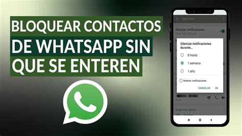 Consejos Rápidos Para Bloquear Un Contacto De Whatsapp Doncomo ️