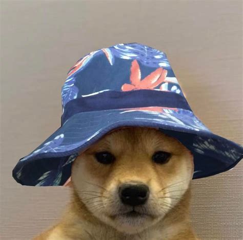 My Hat Rdogwifhatgang