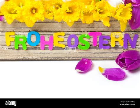 Easter Daffodils Hi Res Stock Photography And Images Alamy