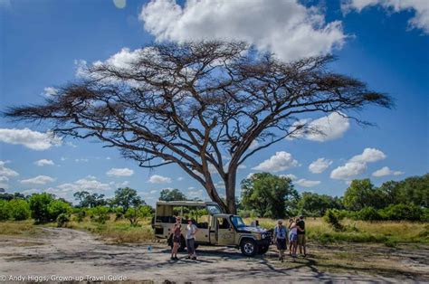 Safari Notes Moremi Game Reserve Botswana The Grown Up Travel Company