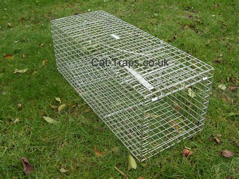 By using live traps for cats, you can provide humane assistance by trapping, neutering, and returning these feral. Feral cat trap, standard feral cat trap, Cat-Traps.co.uk ...
