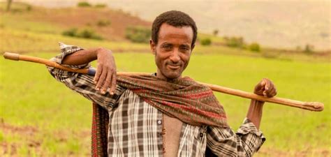 Ethiopian Farmers Benefit From Climate Smart Initiatives African Times