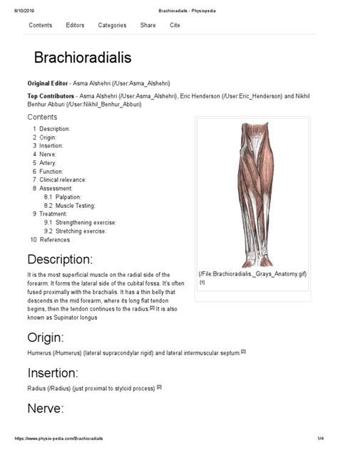 Brachioradialis Tendonitis Physiopedia Pdf Elbow Anatomical